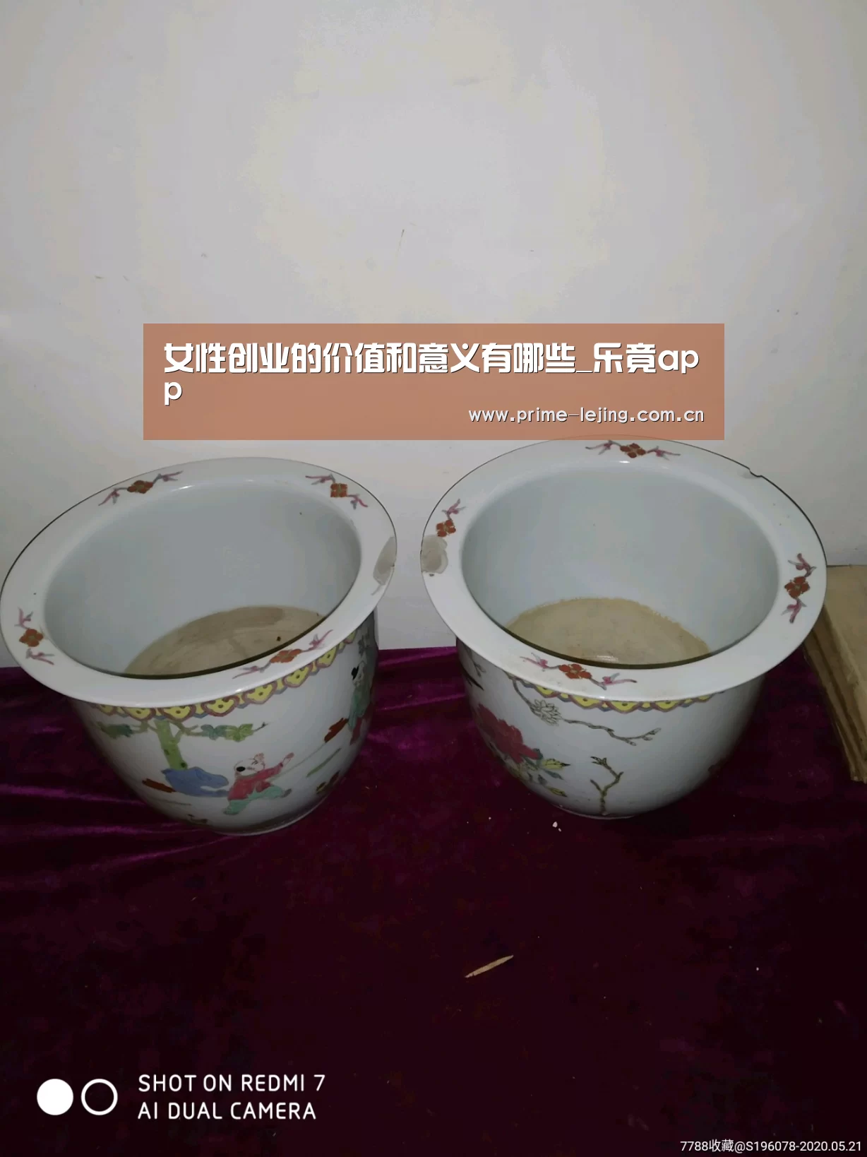 乐竟官网入口