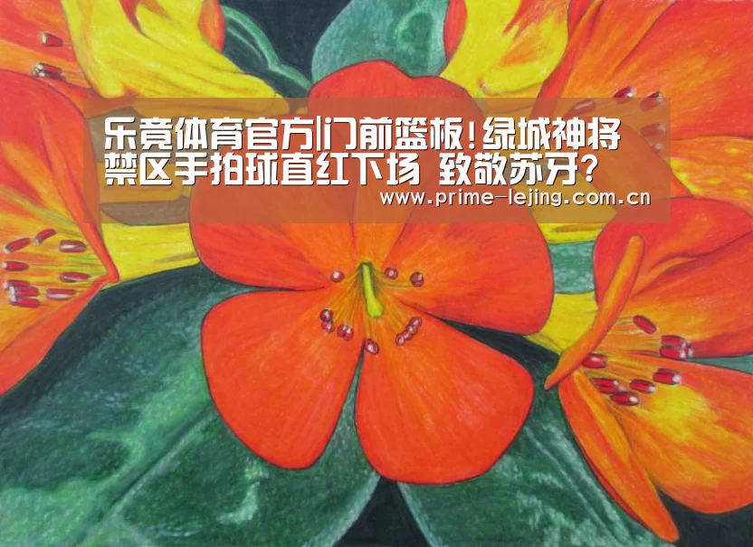 乐竟app