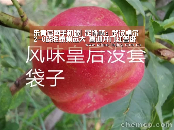 乐竟官网手机版|
足协杯:武汉卓尔2-0战胜泰州远大 喜迎开门红晋级下一轮!(图1) 乐竟体育官方