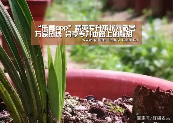 乐竟官网手机版