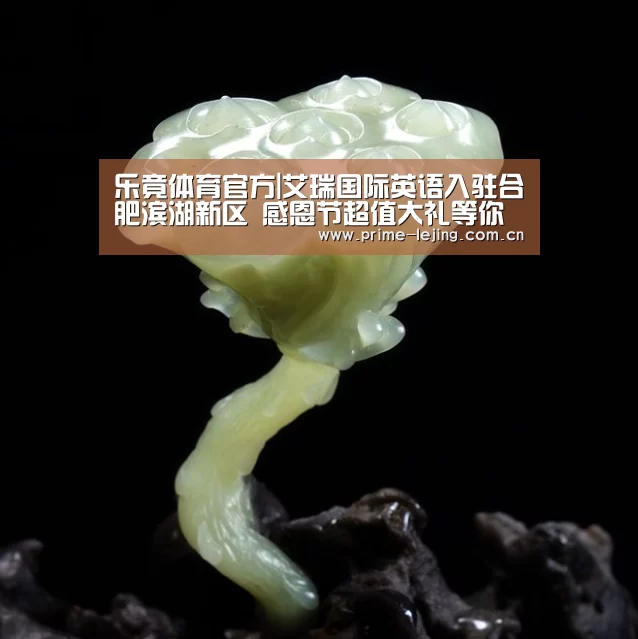 乐竟体育官方