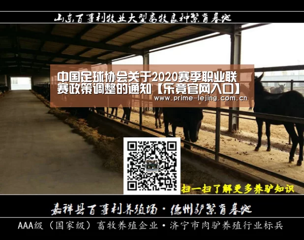 中国足球协会关于2020赛季职业联赛政策调整的通知【乐竟官网入口】(图1) 乐竟体育官方