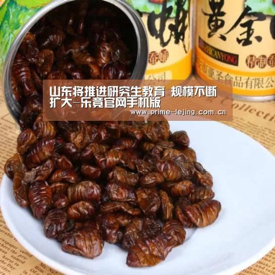 乐竟官网入口