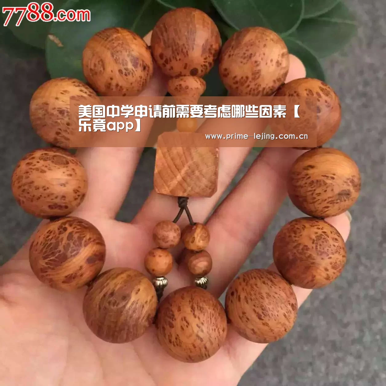 美国中学申请前需要考虑哪些因素【乐竟app】(图1) 乐竟体育官方