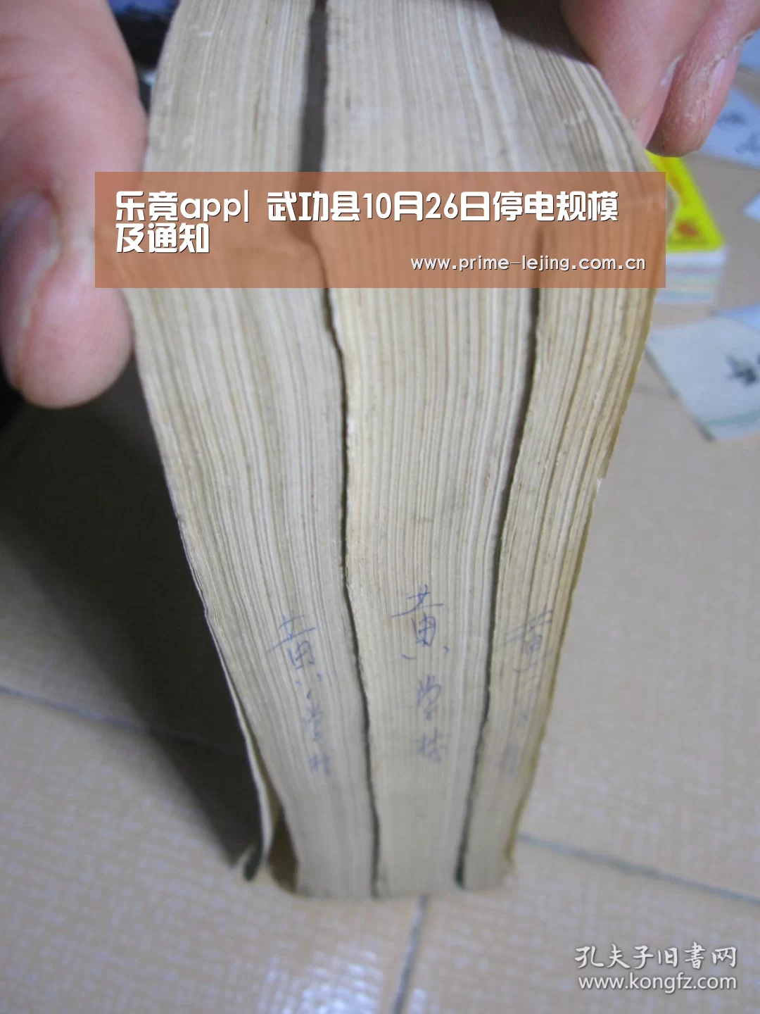 乐竟官网入口