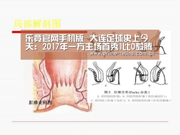 乐竟官网入口