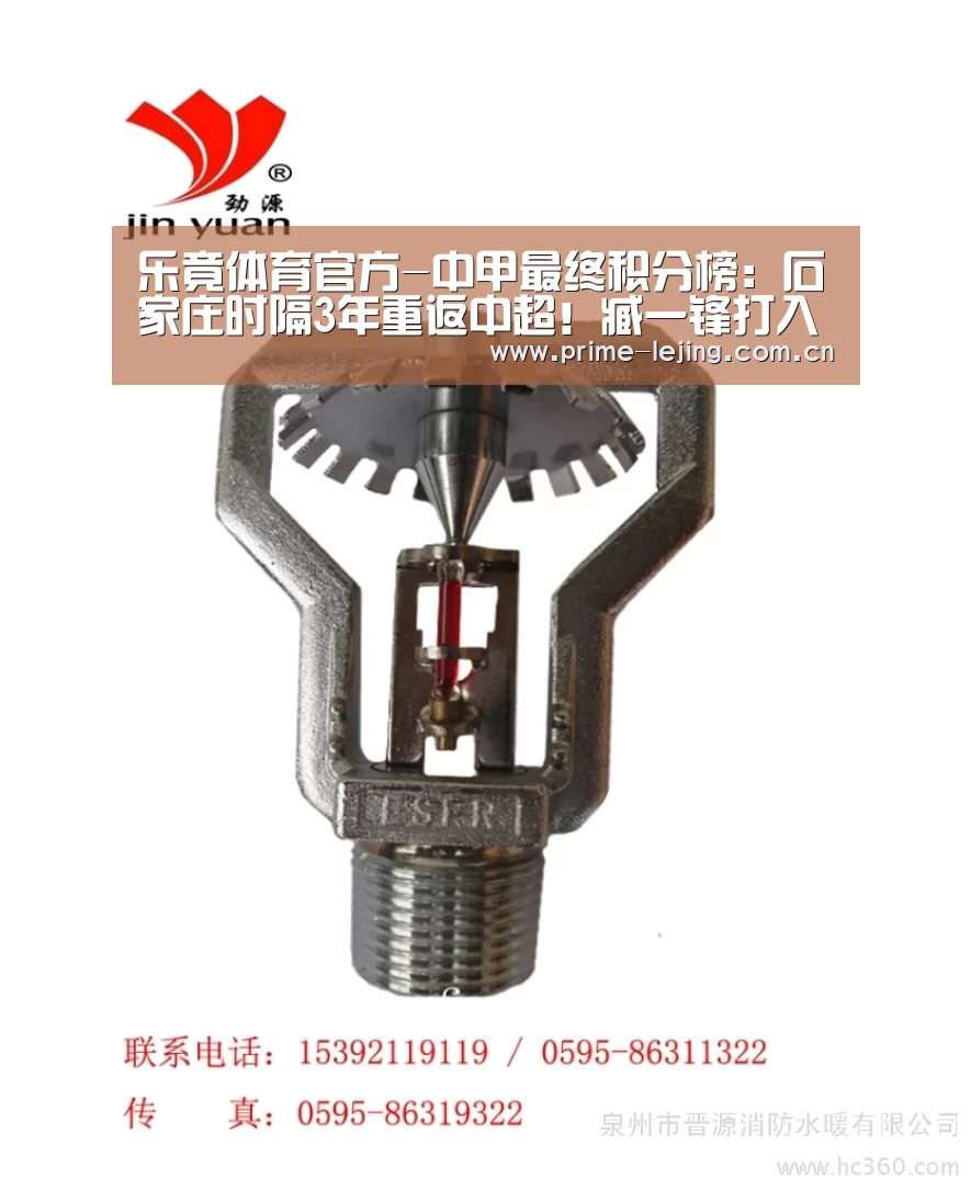 乐竟体育官方-中甲最终积分榜:石家庄时隔3年重返中超!臧一锋打入关键进球(图2) 乐竟体育官方
